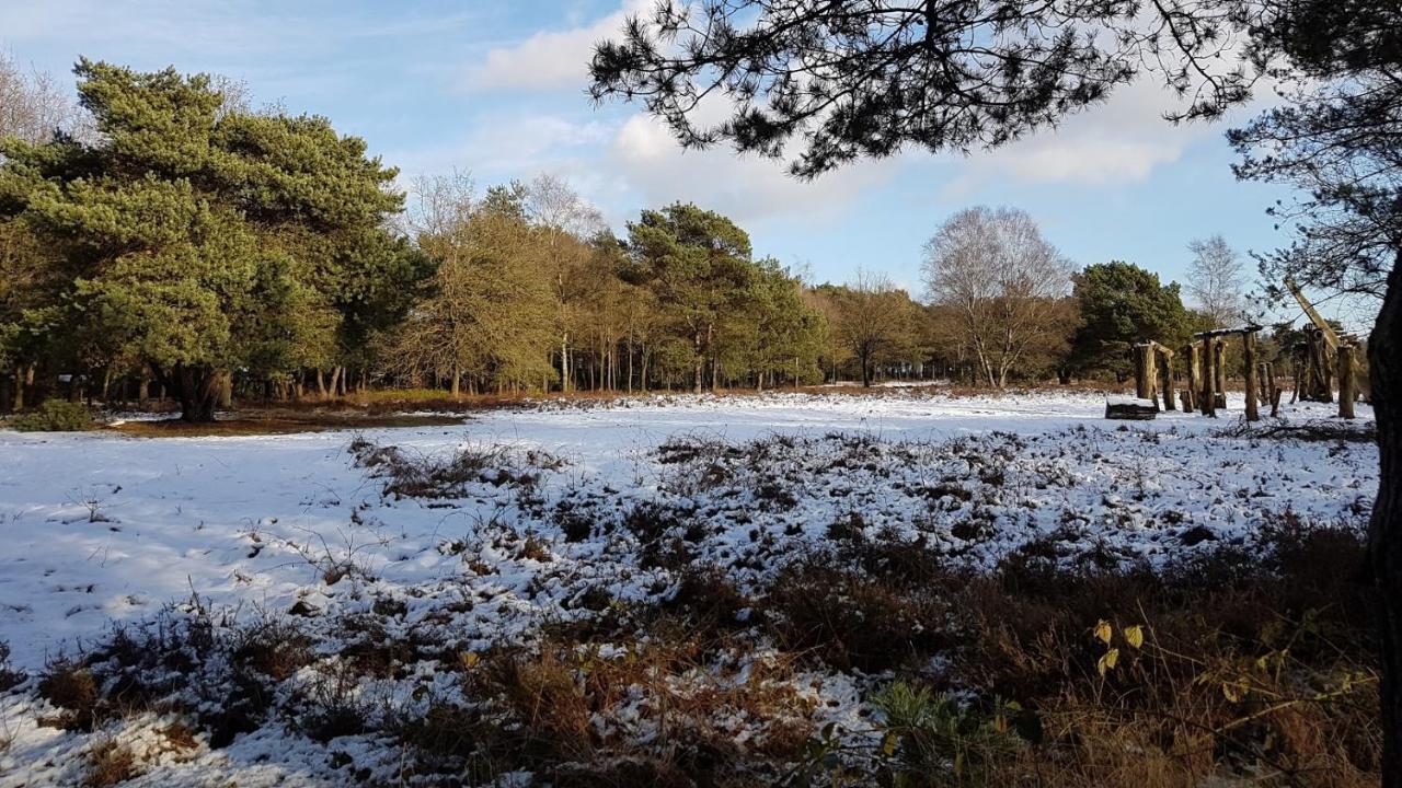 Chalet Op De Veluwe # Beuk Putten Exterior foto